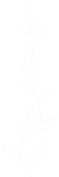 Leaves on vine